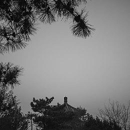 《全面战争：战锤3》震旦新视频 抵御混沌入侵